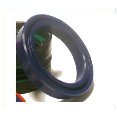 Aston Hydraulic rod seals