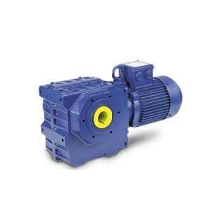 BAUER Worm gear motor